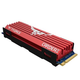 Team Cardea II 256GB WITH THICK COOLER | TM8FP5256G0C110